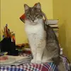 Отзыв от Анжелика Кольцова